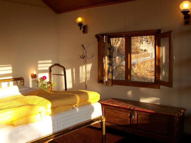 Imagen general del Hotel Jungle Lore Birding Lodge. Foto 18