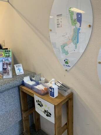 Imagen general del Hotel Jungle Painu Maya. Foto 7