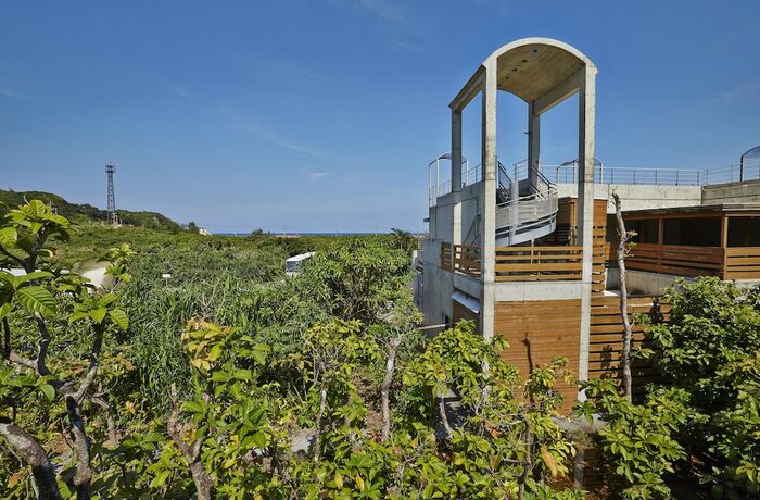 Imagen general del Hotel Jungle Painu Maya. Foto 10