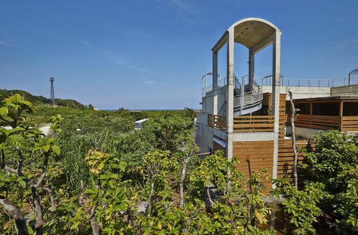 Imagen de los exteriores del Hotel Jungle Painu Maya. Foto 28