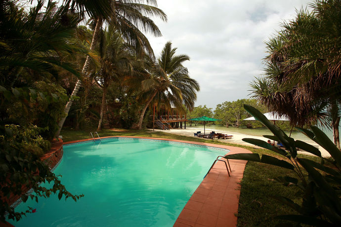 Imagen de la piscina del Hotel Jungle Paradise Beach Resort and Spa Mbweni Ruins. Foto 15