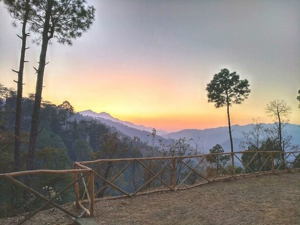 Imagen general del Hotel Jungle Stays. Foto 1
