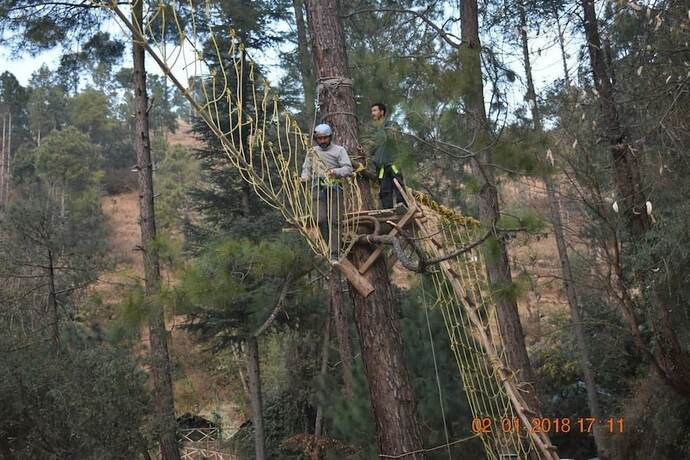 Imagen general del Hotel Jungle Stays. Foto 3