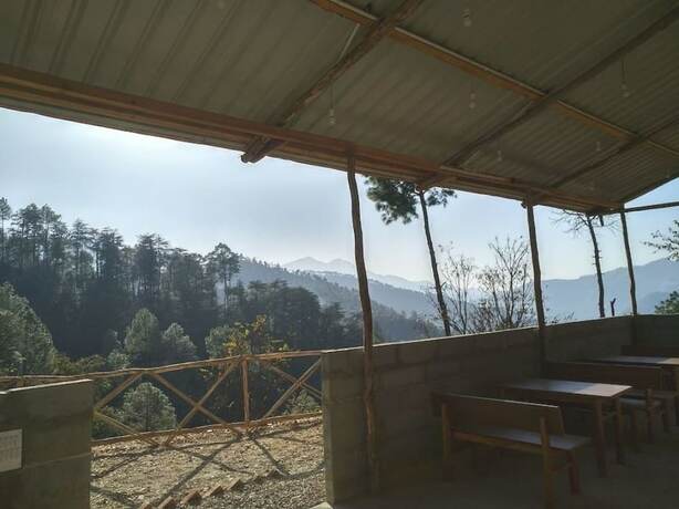 Imagen general del Hotel Jungle Stays. Foto 7