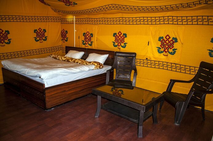 Imagen general del Hotel Jungle Stays. Foto 10