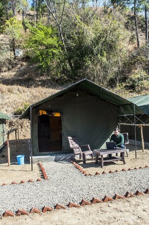 Imagen general del Hotel Jungle Stays. Foto 11