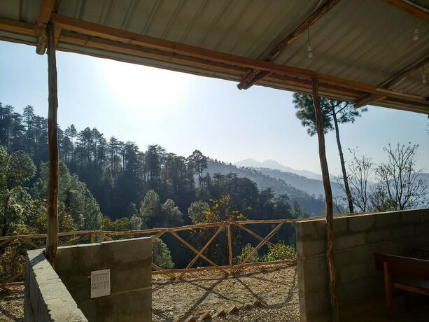 Imagen general del Hotel Jungle Stays. Foto 13