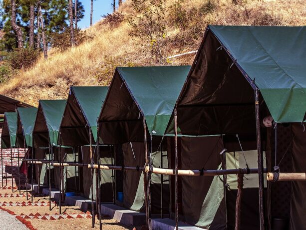 Imagen general del Hotel Jungle Stays. Foto 14