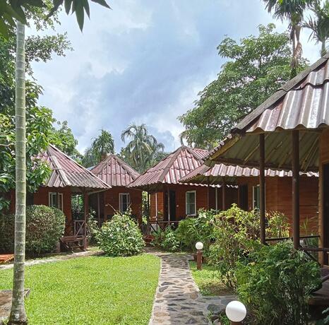 Imagen general del Hotel Jungle View Resort. Foto 25