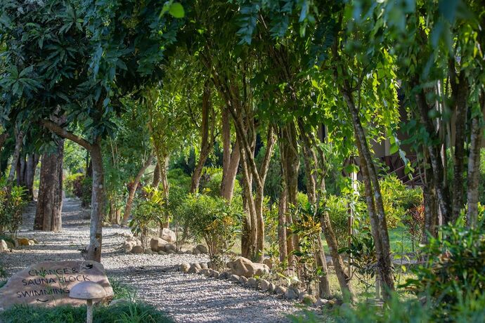 Imagen general del Hotel Jungle Villa Resort. Foto 12