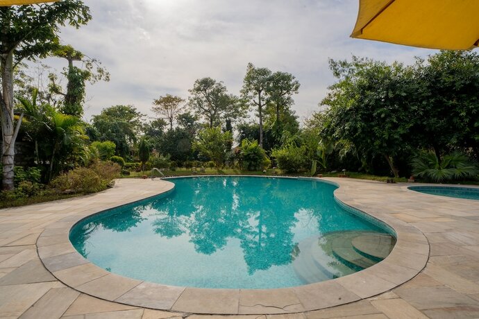 Imagen general del Hotel Jungle Villa Resort. Foto 14