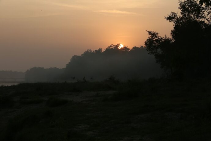 Imagen general del Hotel Jungle Villa Resort. Foto 17