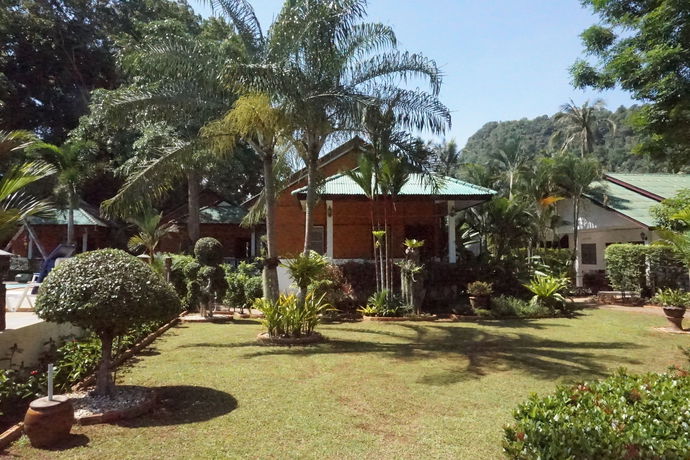 Imagen de la piscina del Hotel Jungle Village Bungalows. Foto 13