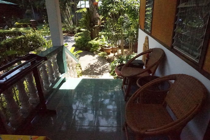 Imagen de la piscina del Hotel Jungle Village Bungalows. Foto 15