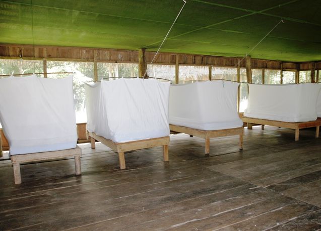 Imagen de los interiores del Hotel Jungle Wolf Expeditions. Foto 16