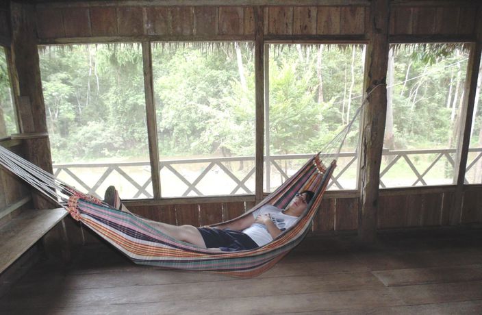 Imagen de la habitación del Hotel Jungle Wolf Expeditions. Foto 7