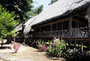 Imagen de la habitación del Hotel Jungle Wolf Expeditions. Foto 13