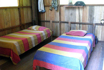 Imagen de los exteriores del Hotel Jungle Wolf Expeditions. Foto 15