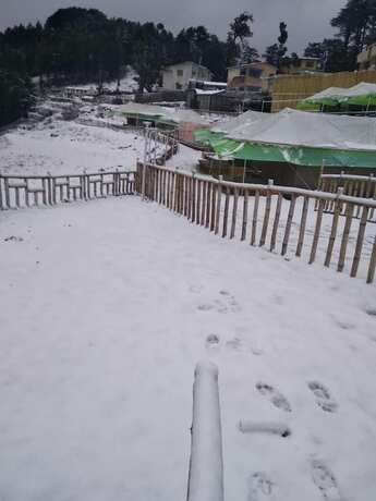Imagen general del Hotel Junglee Camps and Resort. Foto 3