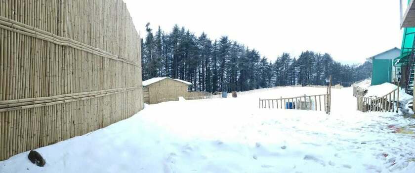 Imagen general del Hotel Junglee Camps and Resort. Foto 11