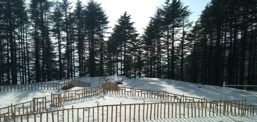 Imagen general del Hotel Junglee Camps and Resort. Foto 12