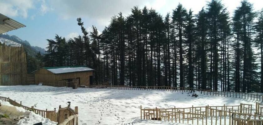 Imagen general del Hotel Junglee Camps and Resort. Foto 13
