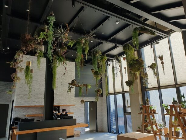 Imagen general del Hotel Junibino Hongdae. Foto 14