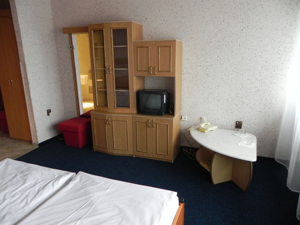 Imagen de la habitación del Hotel Junior, Bratislava. Foto 11