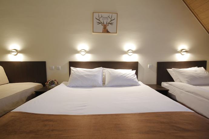 Imagen de la habitación del Hotel Junior, Kopaonik. Foto 3