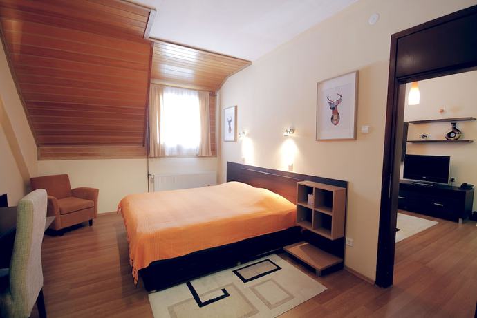 Imagen de la habitación del Hotel Junior, Kopaonik. Foto 8