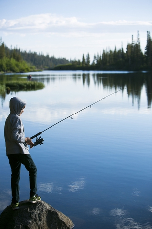 Imagen general del Hotel Juniper Springs Resort. Foto 2
