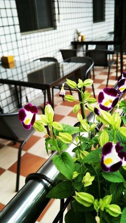 Imagen de los interiores del Hotel Juo House. Foto 16
