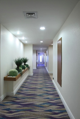 Imagen de los interiores del Hotel Jura Hotels Mavi Sürmeli Adana. Foto 17