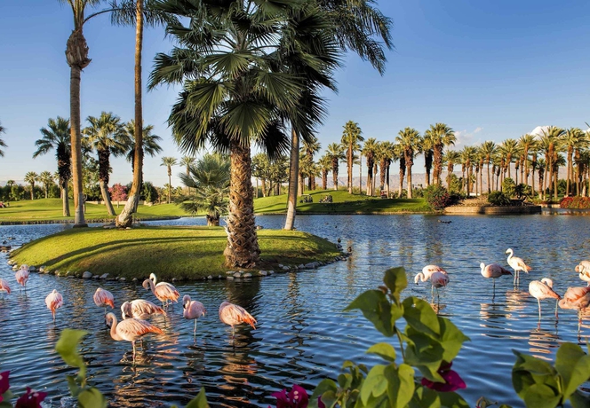 Imagen de los exteriores del Hotel Jw Marriott Desert Springs Resort and Spa. Foto 10