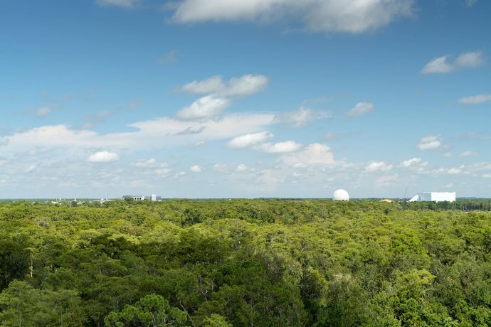 Imagen de los exteriores del Hotel Jw Marriott Orlando Bonnet Creek Resort and Spa. Foto 11