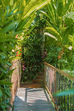 Imagen general del Hotel KClub Ubud. Foto 4