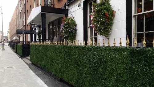Imagen general del Hotel KILDARE STREET. Foto 4