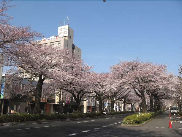 Imagen general del Hotel KOKO STAY Hitachi. Foto 1