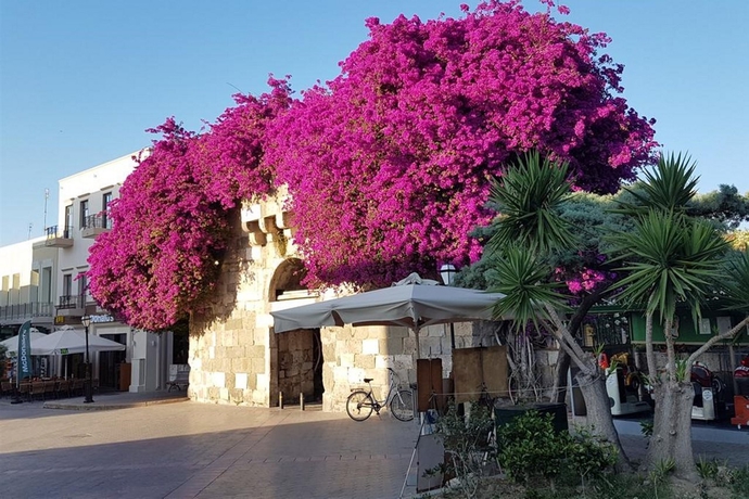 Imagen general del Hotel KOS IMPERIAL. Foto 8