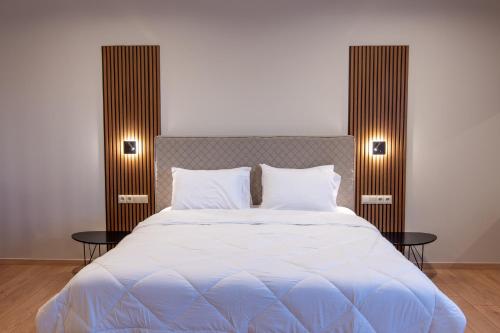Imagen general del Hotel KOSMAPOLITAN hotel. Foto 15