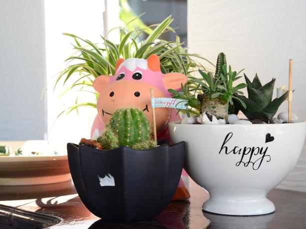 Imagen de los interiores del Hotel KP Mountain Beach Resort. Foto 7