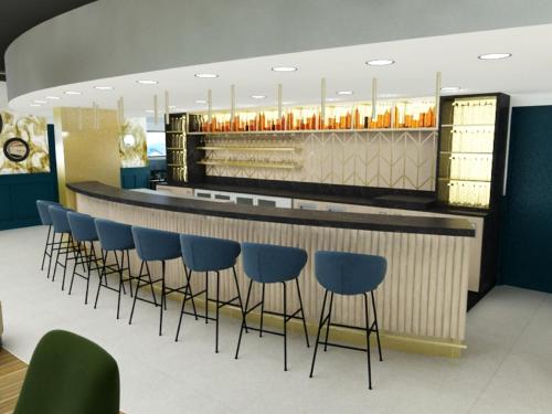 Imagen general del Hotel KYRIAD Tours Sud - Ballan Mire. Foto 8