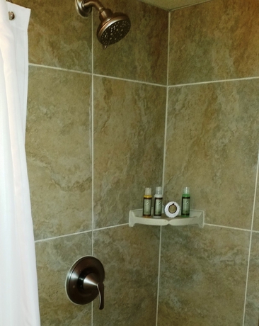 Imagen de la habitación del Hotel Kaanapali Ocean Inn. Foto 14