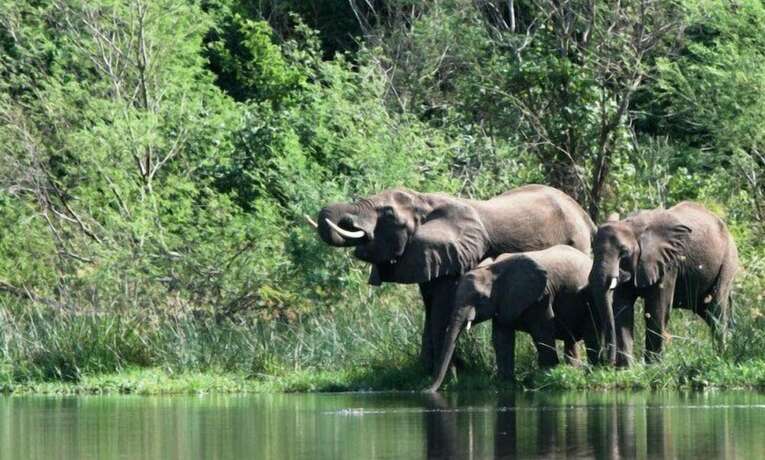 Imagen general del Hotel Kabalega Wilderness Lodge. Foto 8