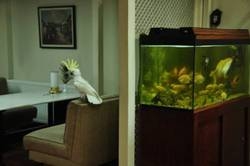 Imagen general del Hotel Kadık&ouml;y Rıhtım Hotel. Foto 4