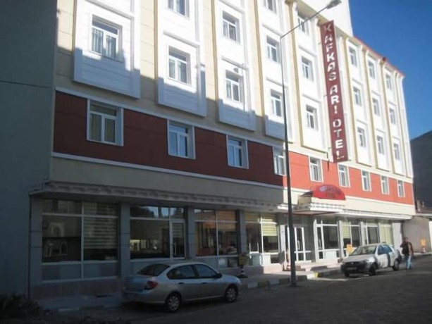 Imagen general del Hotel Kafkas Ari. Foto 1