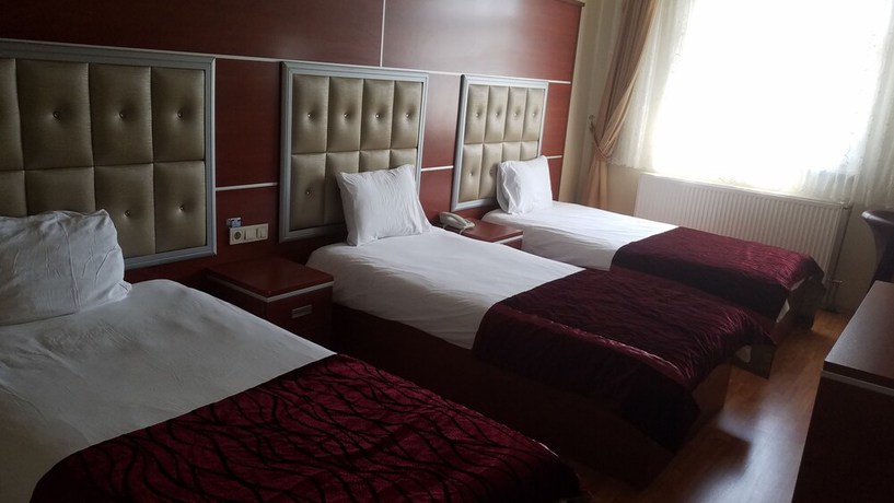 Imagen de la habitación del Hotel Kafkas Ari. Foto 8