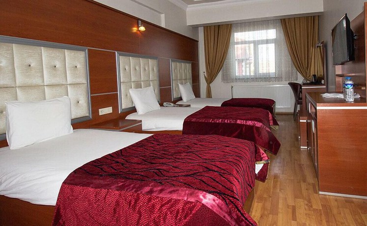 Imagen de la habitación del Hotel Kafkas Ari. Foto 9