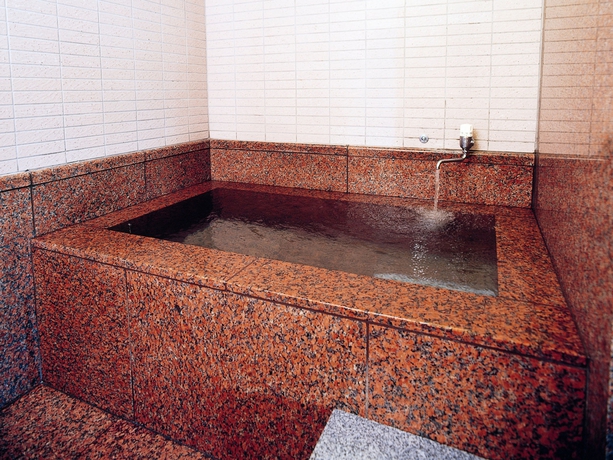 Imagen de la piscina del Hotel Kaga Kanko. Foto 9