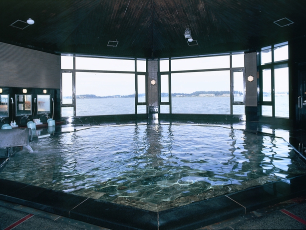 Imagen de la piscina del Hotel Kaga Kanko. Foto 10